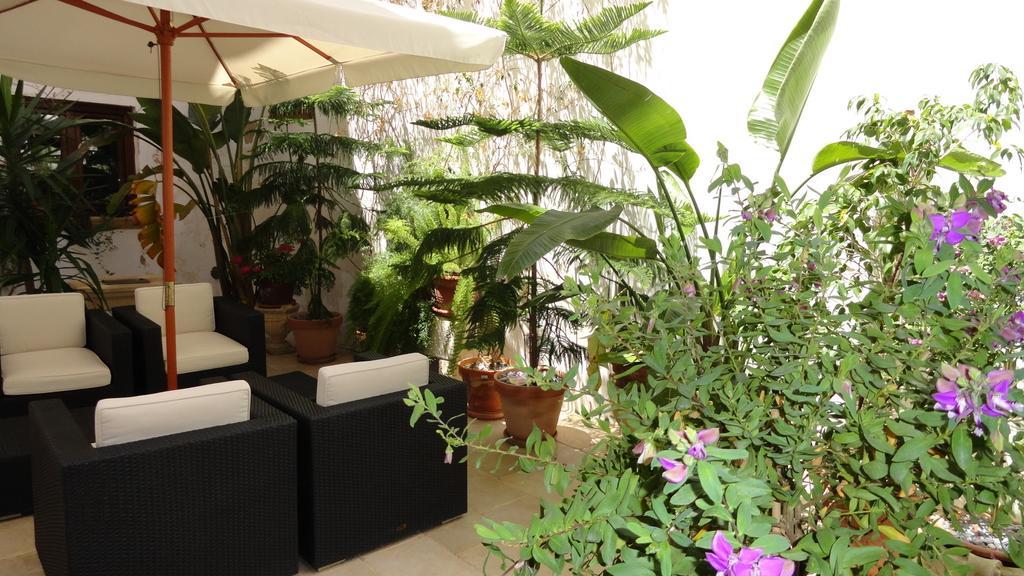 B&B Corti Carmela Gallipoli Exteriér fotografie
